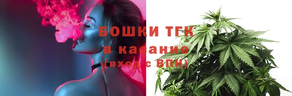 стаф Аркадак