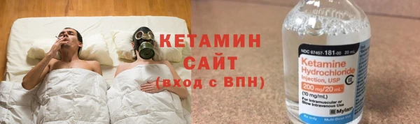 стаф Аркадак