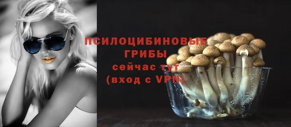 стафф Армянск