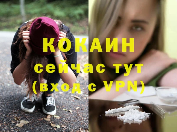 стафф Армянск