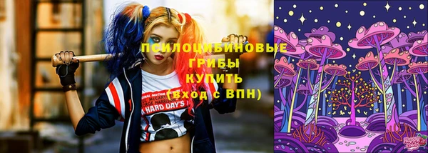 дживик Арсеньев