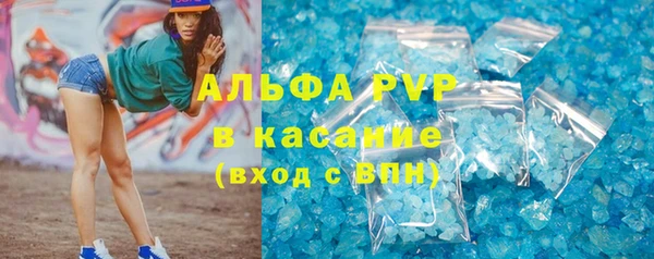стаф Аркадак