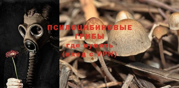 дживик Арсеньев