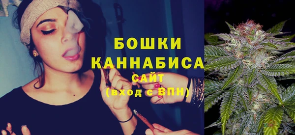 стаф Аркадак