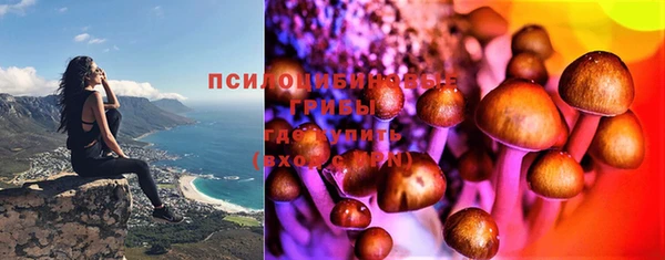 стаф Аркадак