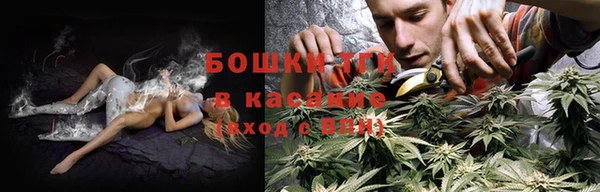 стафф Армянск